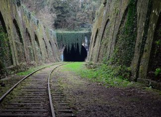 Заброшенная железная дорога в Париже: безмолвная красота, которая очаровывает
