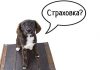 Туристическая страховка: как правильно выбрать и пользоваться — просто о важных нюансах