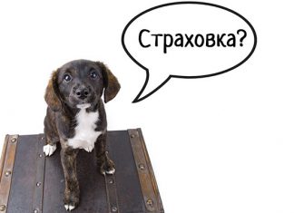 Туристическая страховка: как правильно выбрать и пользоваться — просто о важных нюансах